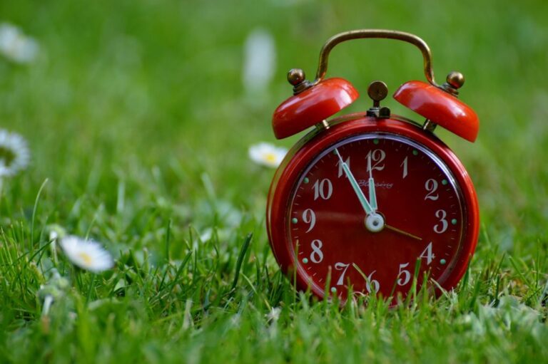 the-eleventh-hour-758723_1920-1024x681-7MY24R