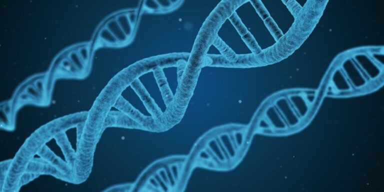 dna-1811955_1920-1024x512-9ttuCE