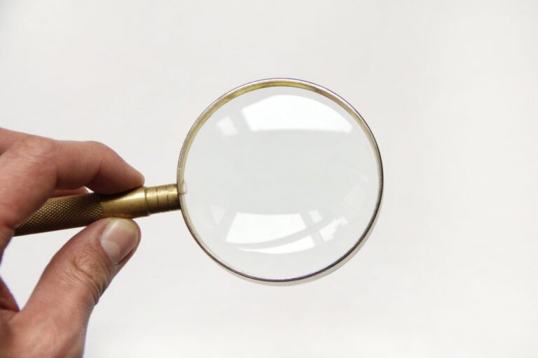 magnifier-1714172_1920-1024x682-Nrm455