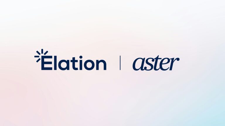 Blue-Aster_oqs81v-qtLjlv