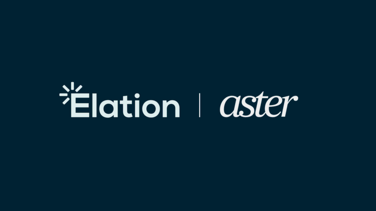 Navy-Aster_1_hxocpd-sAqcbe
